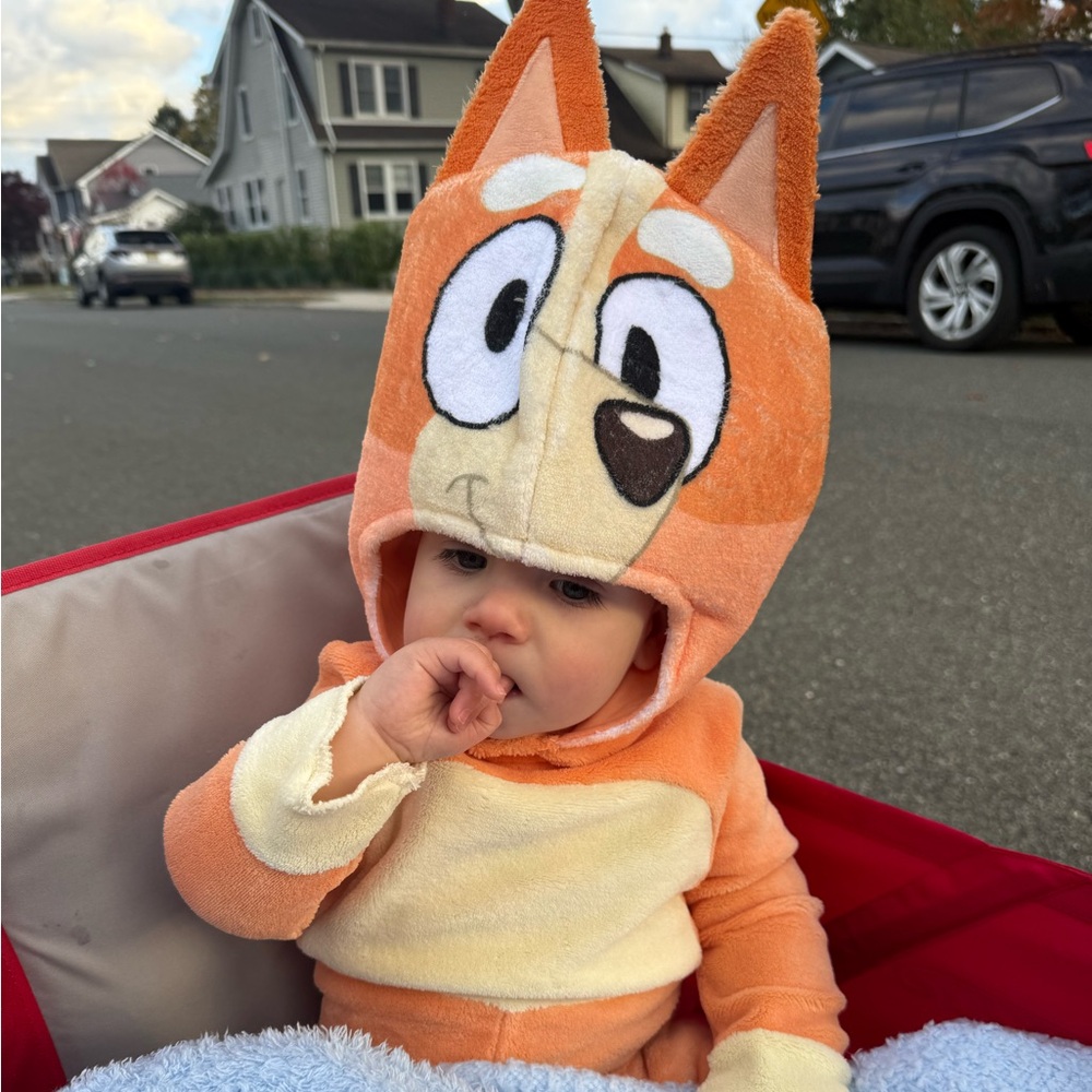Bingo Costume